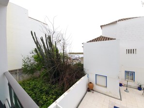 Eine Dachterrasse mit Kaktee, Topf und Fenster.