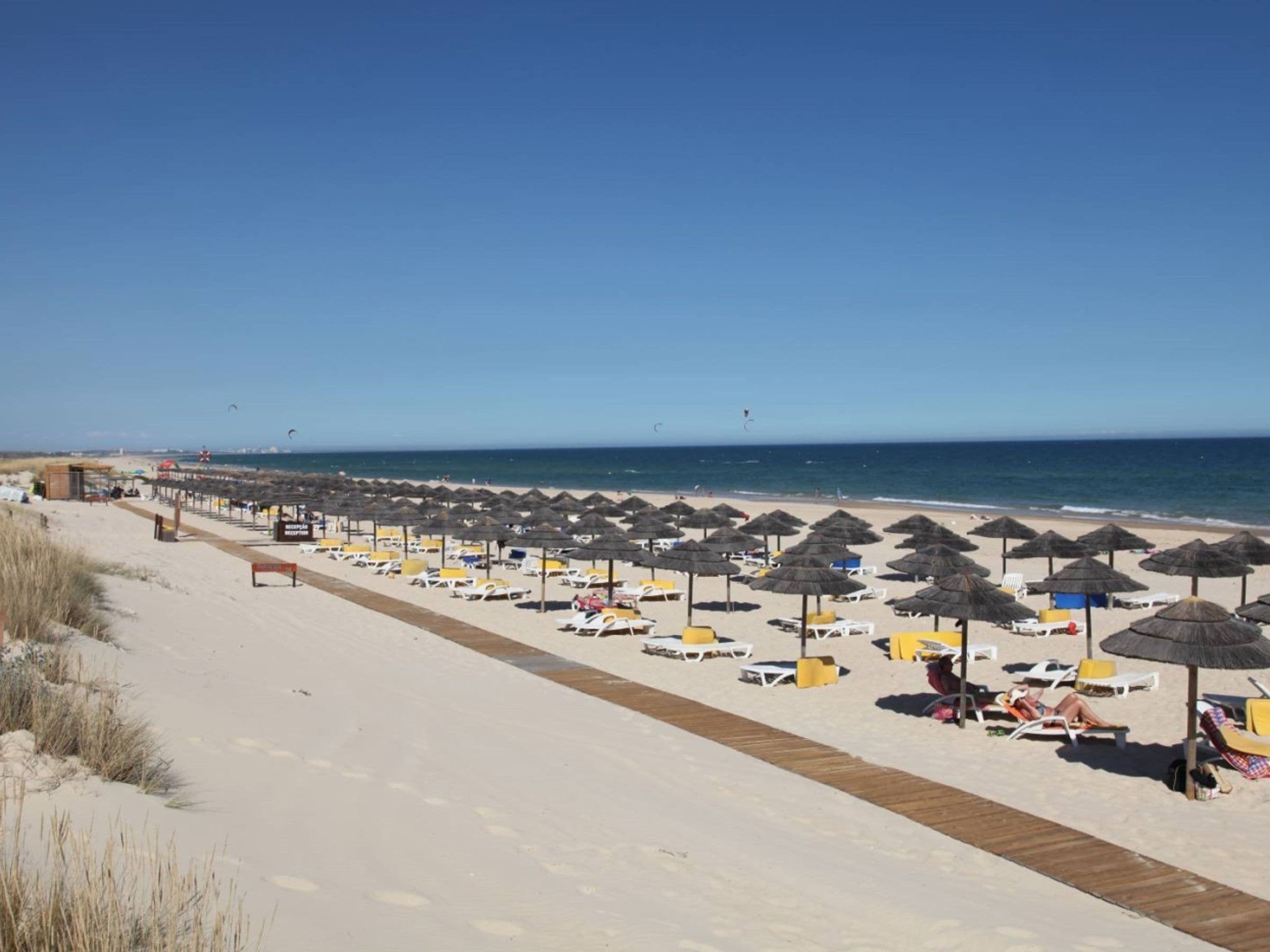 A beach with rows of sun loungers and umbrellas, a wooden walkway, and the ocean in the background.