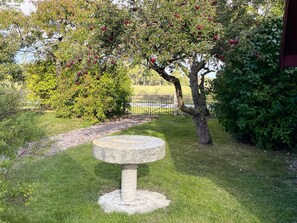 A garden with a stone table, a tree with red fruits, and a grassy area. - 4 Person Holiday Home in Kopingsvik (Kopingsvik)