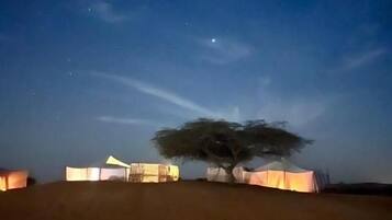 A desert landscape at night with a tree and illuminated tents.