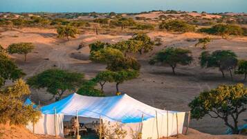 A desert campsite with tents and sparse vegetation.