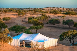 Campaamento en el desierto con tiendas de campaña y vegetación escasa.