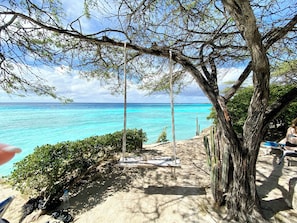 A beach view with a swing set, a cactus, and a clear blue sea. - Luxury 3-Bedroom Retreat,Pools, Beaches & Snorkeling (Oranjestad)