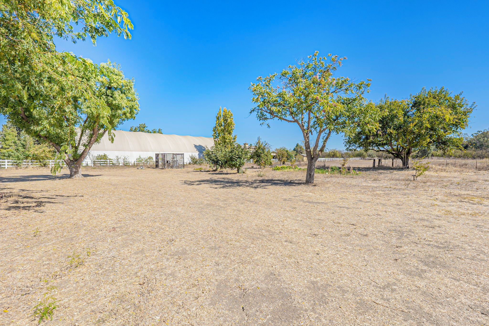 A dry grass field with a large white building and several trees.