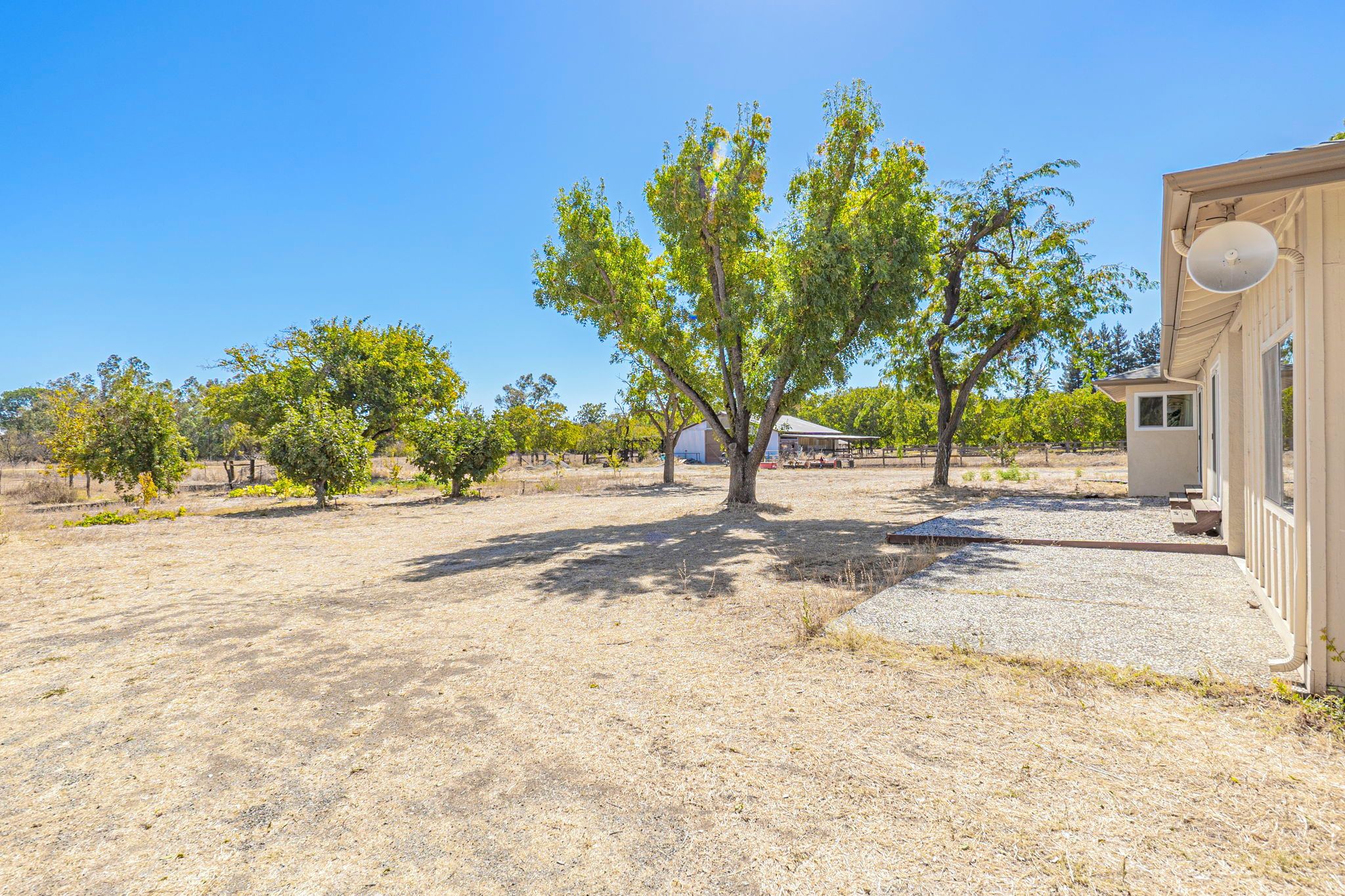 A dry, open landscape with a building on the right and trees in the background.
