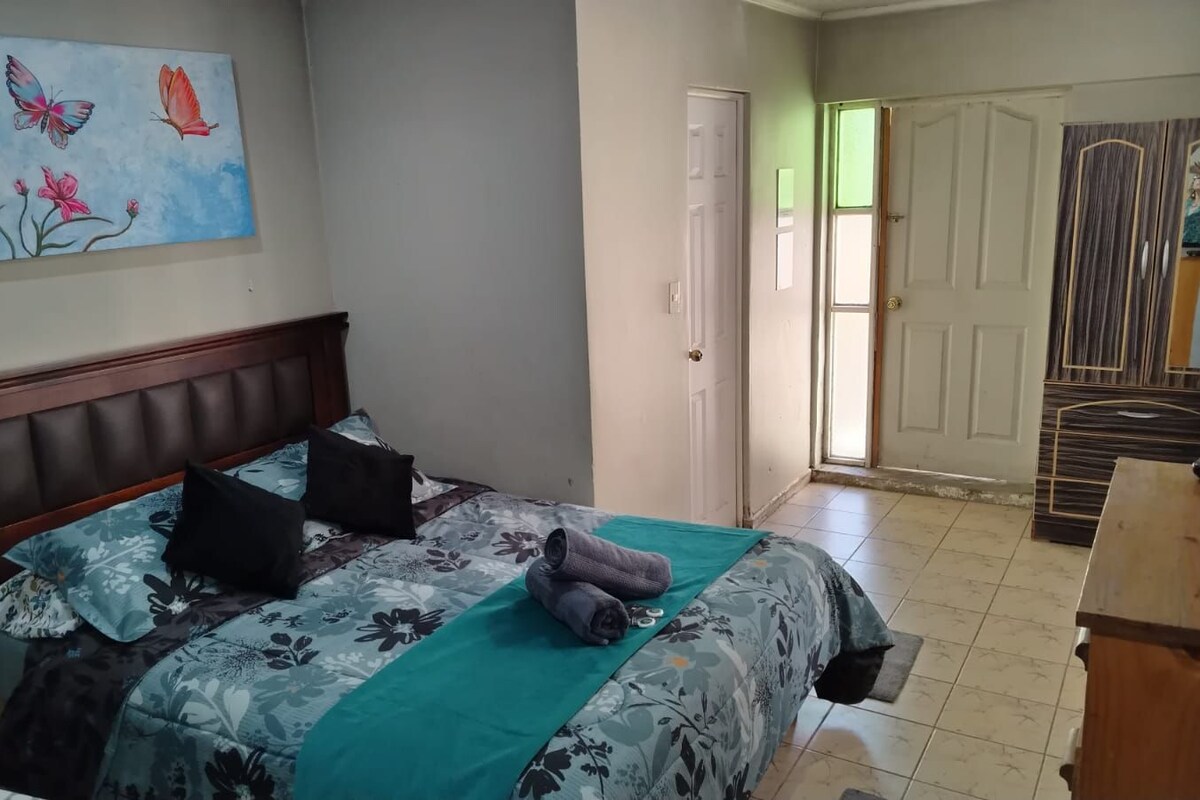 Un dormitorio con cama, un cuadro, una puerta y vista a otra habitación con armario.