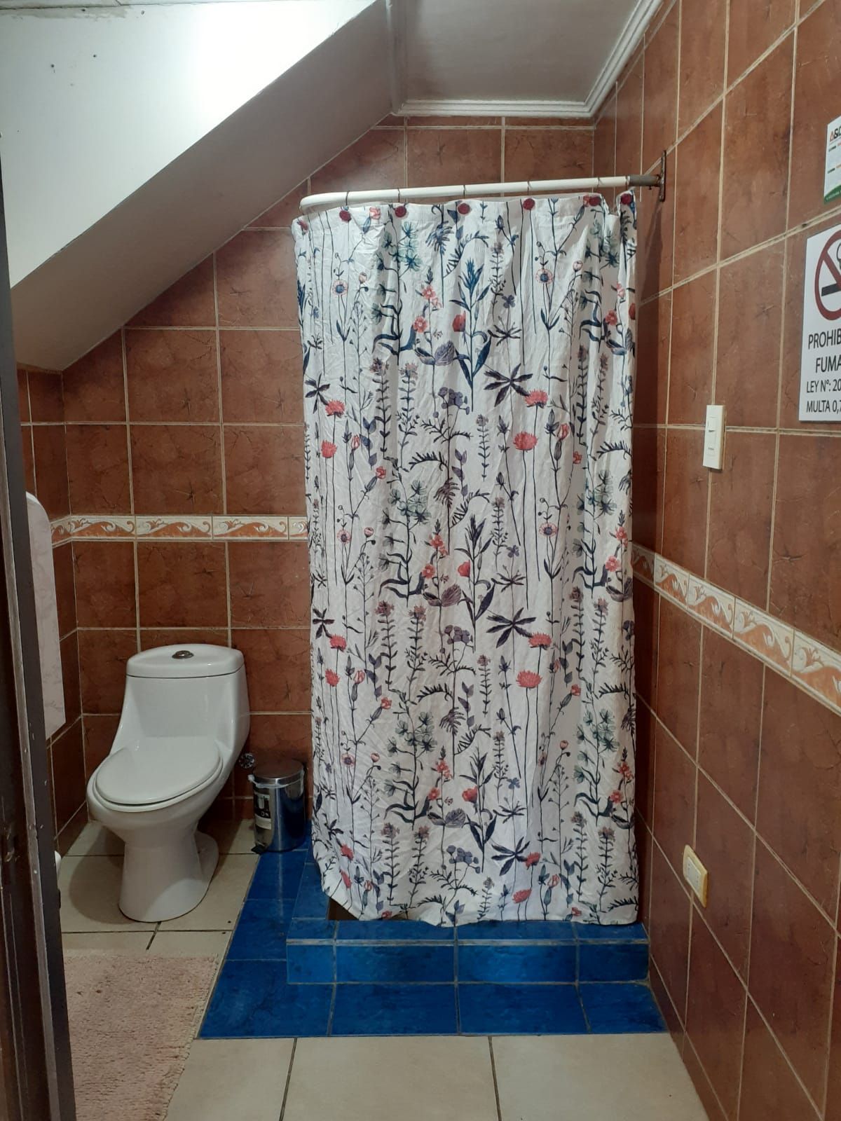 Kylpyhuone, jossa on wc, kukkakuviollinen suihkuverho ja sininen matto lattialla.
