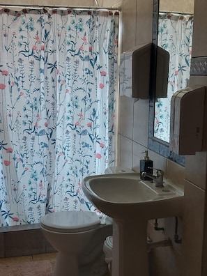 A bathroom with a floral shower curtain, a white toilet, a sink with a mirror above it, and a soap dispenser.