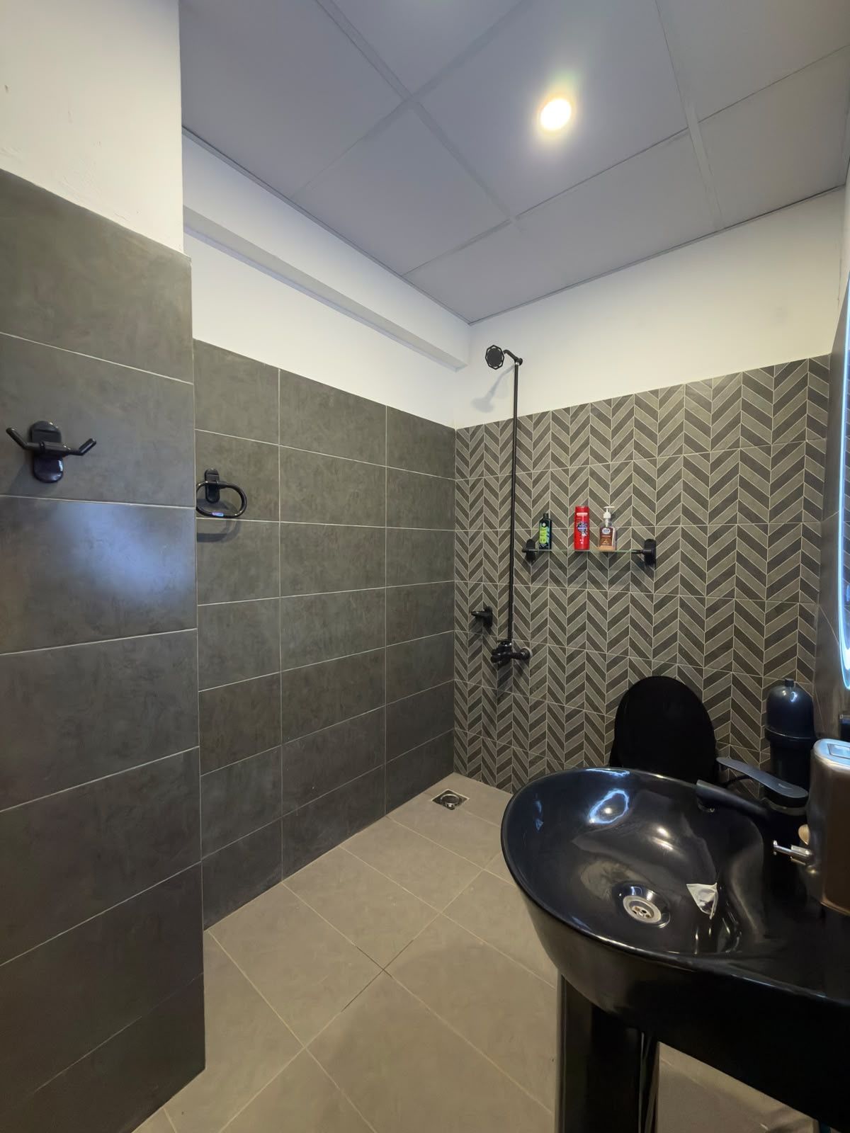 A modern bathroom with a shower, a sink, and a mirror.