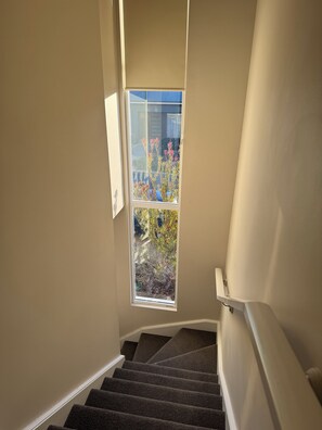 Eine Treppe mit einem Fenster am oberen Ende, die zu einer Zwischenebene führt.