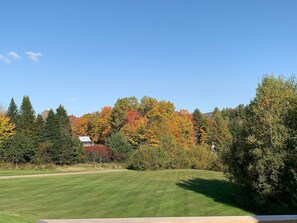 A grassy field with trees in autumn colors and a clear blue sky. - Secluded VT Mountain Retreat - Scenic Views Near Stowe, Smugs & Jay Peak (Hyde Park)