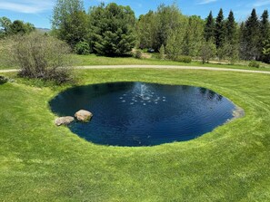 A small pond with a fountain in the center, surrounded by a well-maintained grassy area and trees in the background. - Secluded VT Mountain Retreat - Scenic Views Near Stowe, Smugs & Jay Peak (Hyde Park)