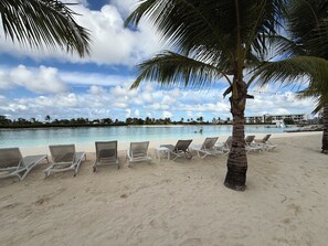 Ein Strand mit weißen Liegestühlen und einer Palme.