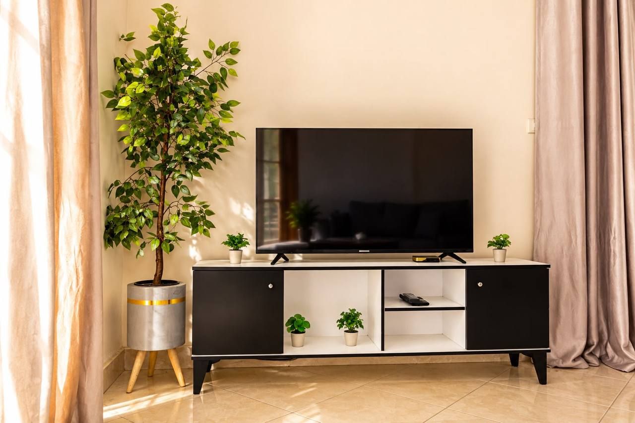 Un salon moderne avec un téléviseur à écran plat posé sur un meuble noir, une grande plante en pot et une petite table sur laquelle se trouve une télécommande.