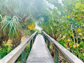 A wooden boardwalk leading through a dense, tropical forest. - Coastal Modern One-Bedroom Apartment (St. Pete Beach)