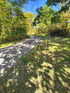A gravel path surrounded by trees and grass. - Beautiful cabin in soothing Livonia perfect for a relaxing getaway. Off grid . (Livonia)