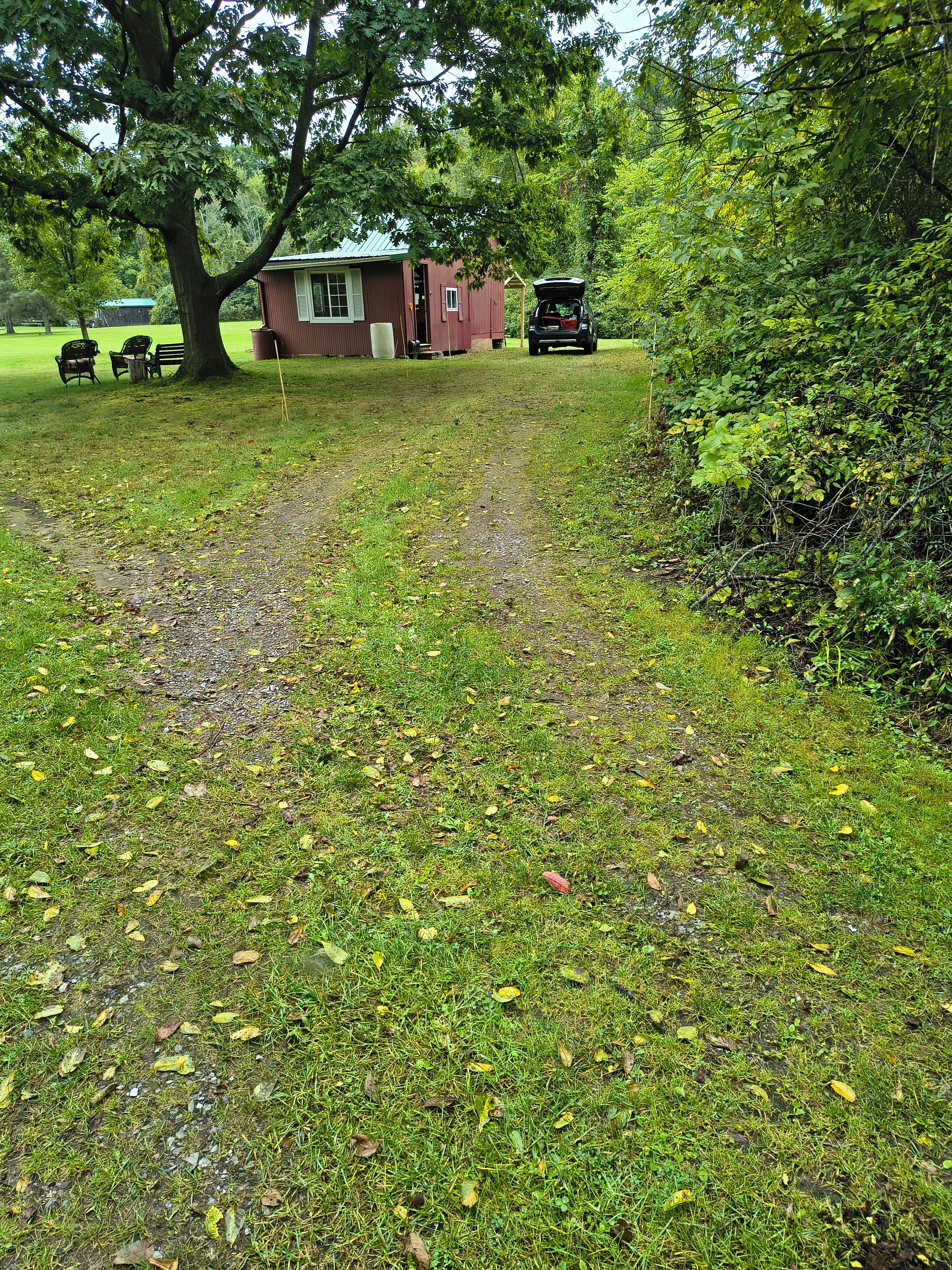 A grassy area with a dirt path leading to a small building, surrounded by trees and bushes.