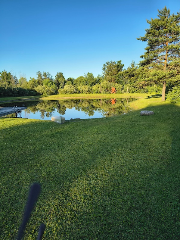 A grassy area with a pond, trees, and a wooden dock.