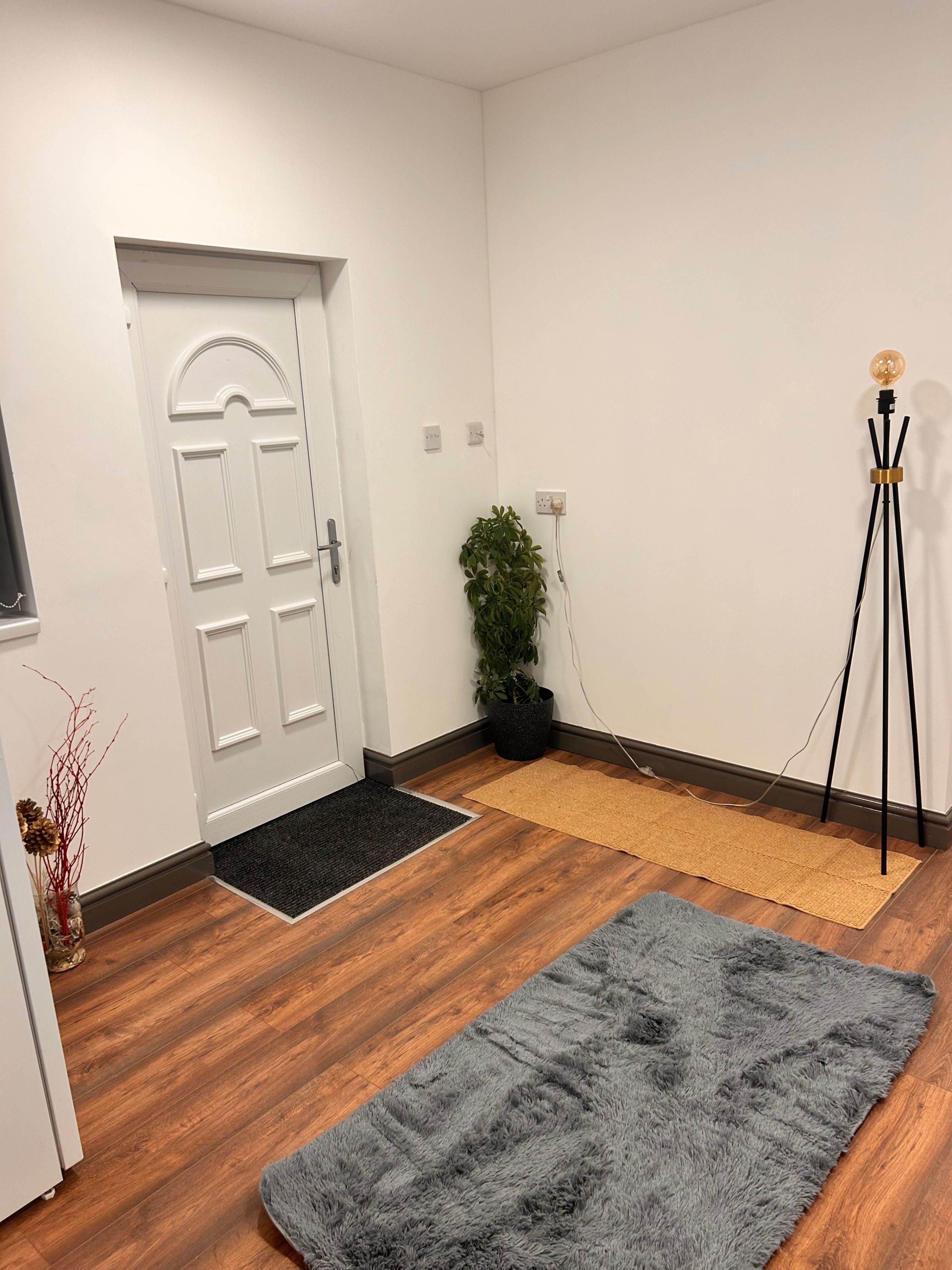 Una habitación con suelo de madera, un tapete gris, una puerta blanca, una planta en maceta, una lámpara de pie y un felpudo negro.