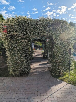 A paved pathway leading through a dense hedge archway. - Quiet 1-bdrm guest house on 2.5 Acre private gated estate in Central Phoenix (Phoenix)