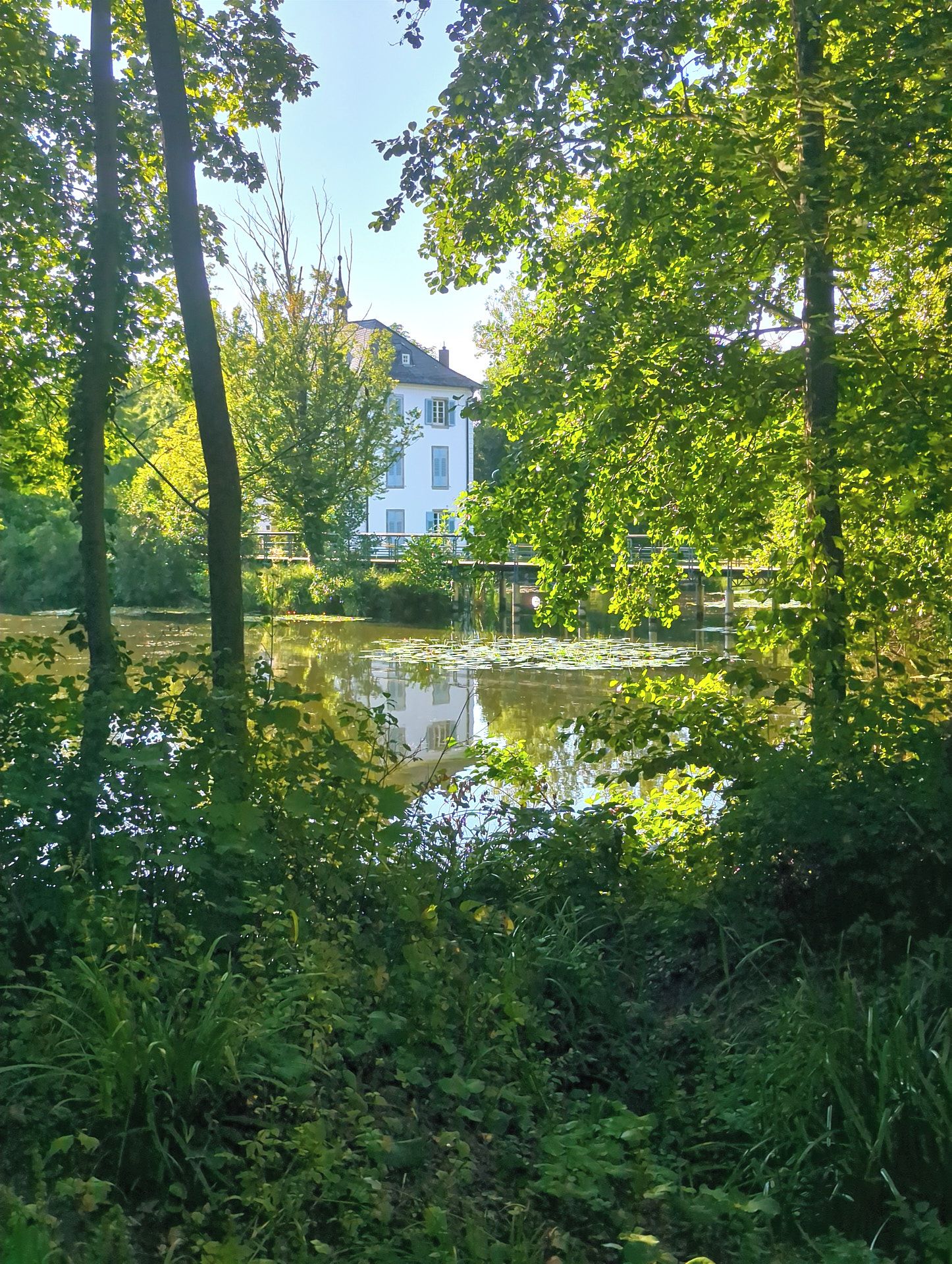 Ein friedlicher Blick auf einen See mit einem Gebäude im Hintergrund.
