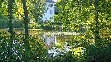 Ein friedlicher Blick auf einen See mit einem Gebäude im Hintergrund.