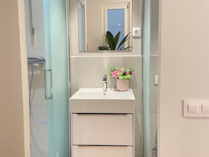 A bathroom with a white sink, a mirror above it, and a potted plant on the counter. - Apartment With Balcony, La Latina (Madrid)