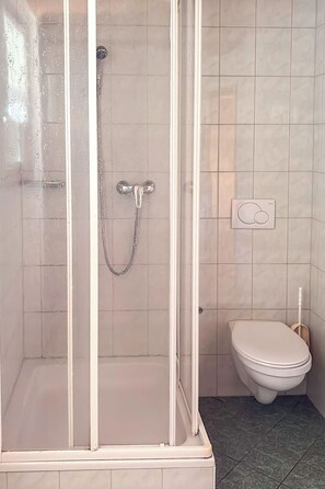 A bathroom with a shower enclosure, a toilet, and a wall-mounted flush handle. - Schwaighof by Interhome (Auffach)