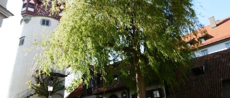 Un château doté d’une tour, un arbre au premier plan et des bâtiments aux toits recouverts de tuiles rouges.