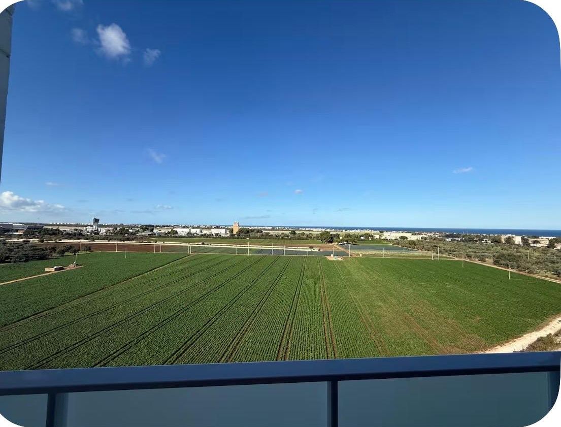 Vista desde la propiedad