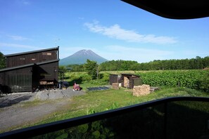 A rural landscape with a mountain in the background, a wooden building, and a field of green plants. - STRADDIE ISLAND【50%-60% OFF for 7+ Nights | Trailer House & Sauna】 (ニセコ町)