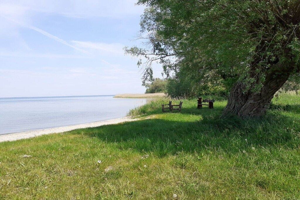 A grassy area with a bench and a tree by a body of water.