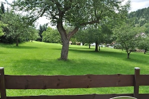 A bench in a grassy park area with trees and a hilly landscape in the background. - Holiday home with 1 bedroom (Bad Gottleuba OT Markersbach)