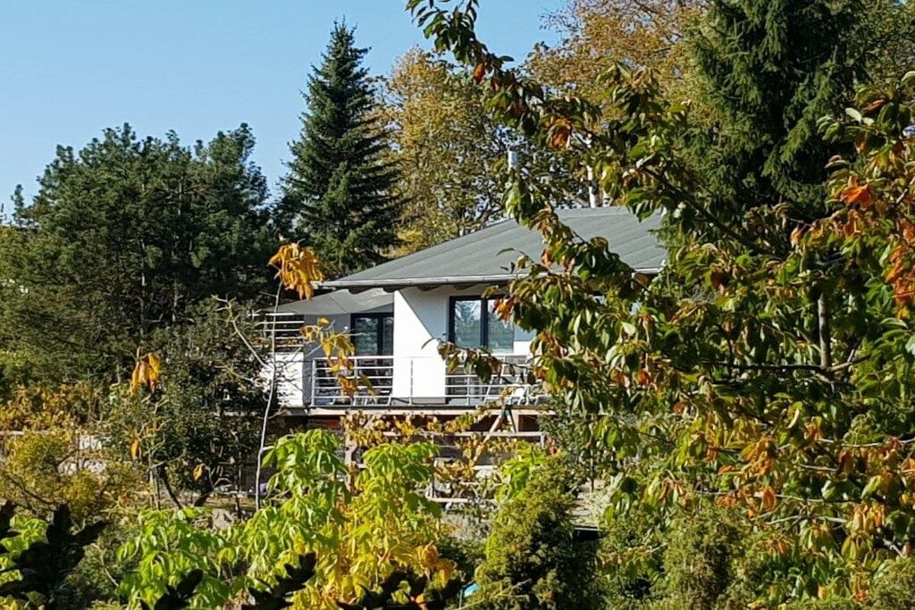 En modern byggnad med ett platt tak, omgiven av tät vegetation och träd.