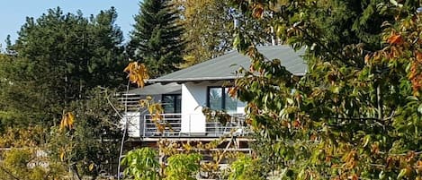Un bâtiment moderne doté d’un toit plat, entouré d’une végétation luxuriante et d’arbres.