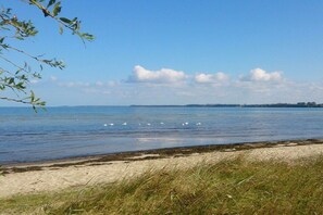 A beach with clear skies, calm water, and distant land. - Thatched house "Three Seagulls" (Zierow)