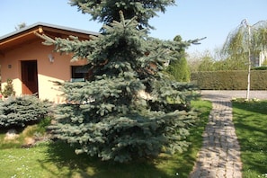 Ein Wohngebäude mit gepflegter Rasenfläche und einem großen Nadelbaum davor.