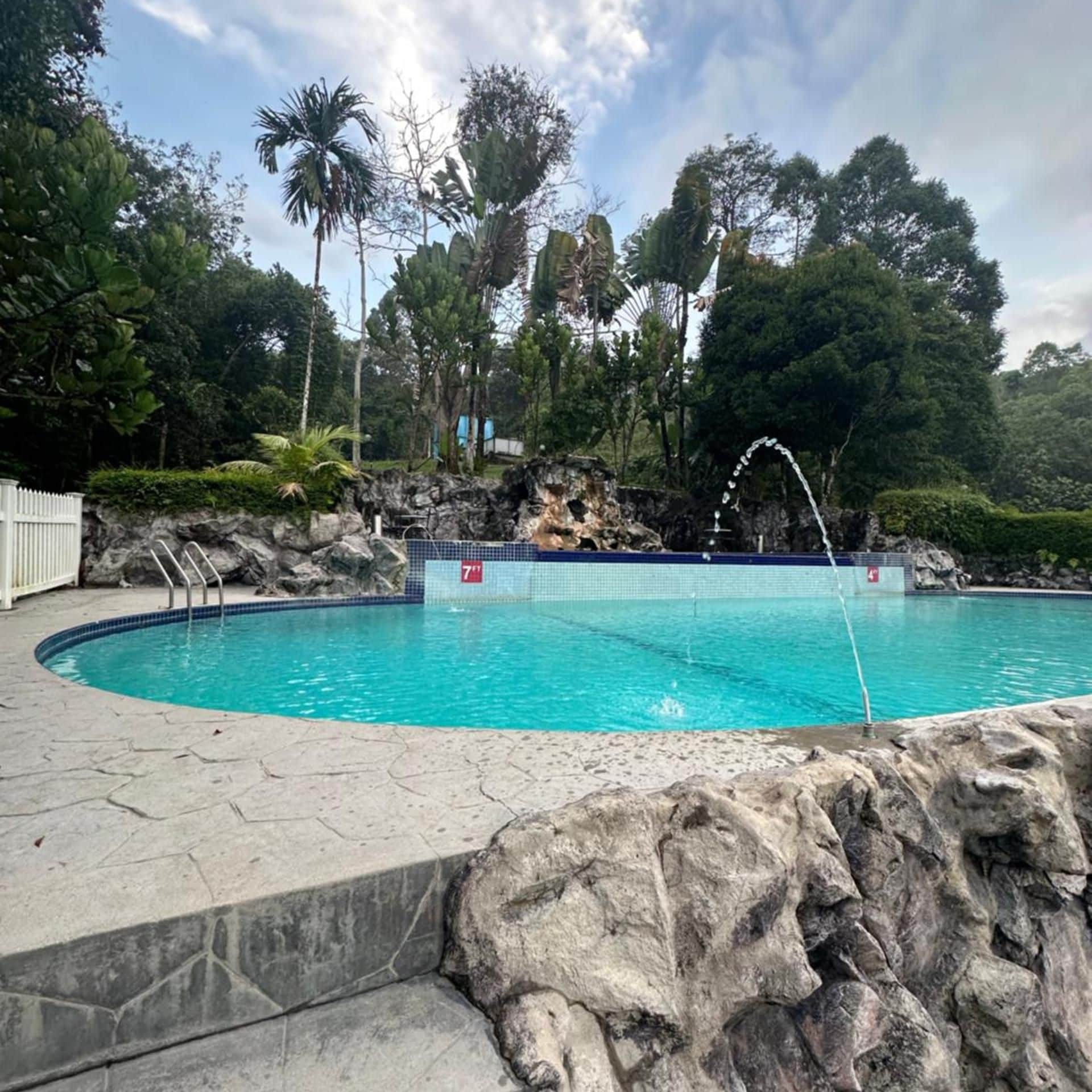 A swimming pool with a rocky edge, surrounded by tropical vegetation and a clear sky.