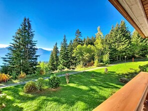 Ein Blick auf eine üppige grüne Landschaft mit verschiedenen Bäumen und einem klaren blauen Himmel.