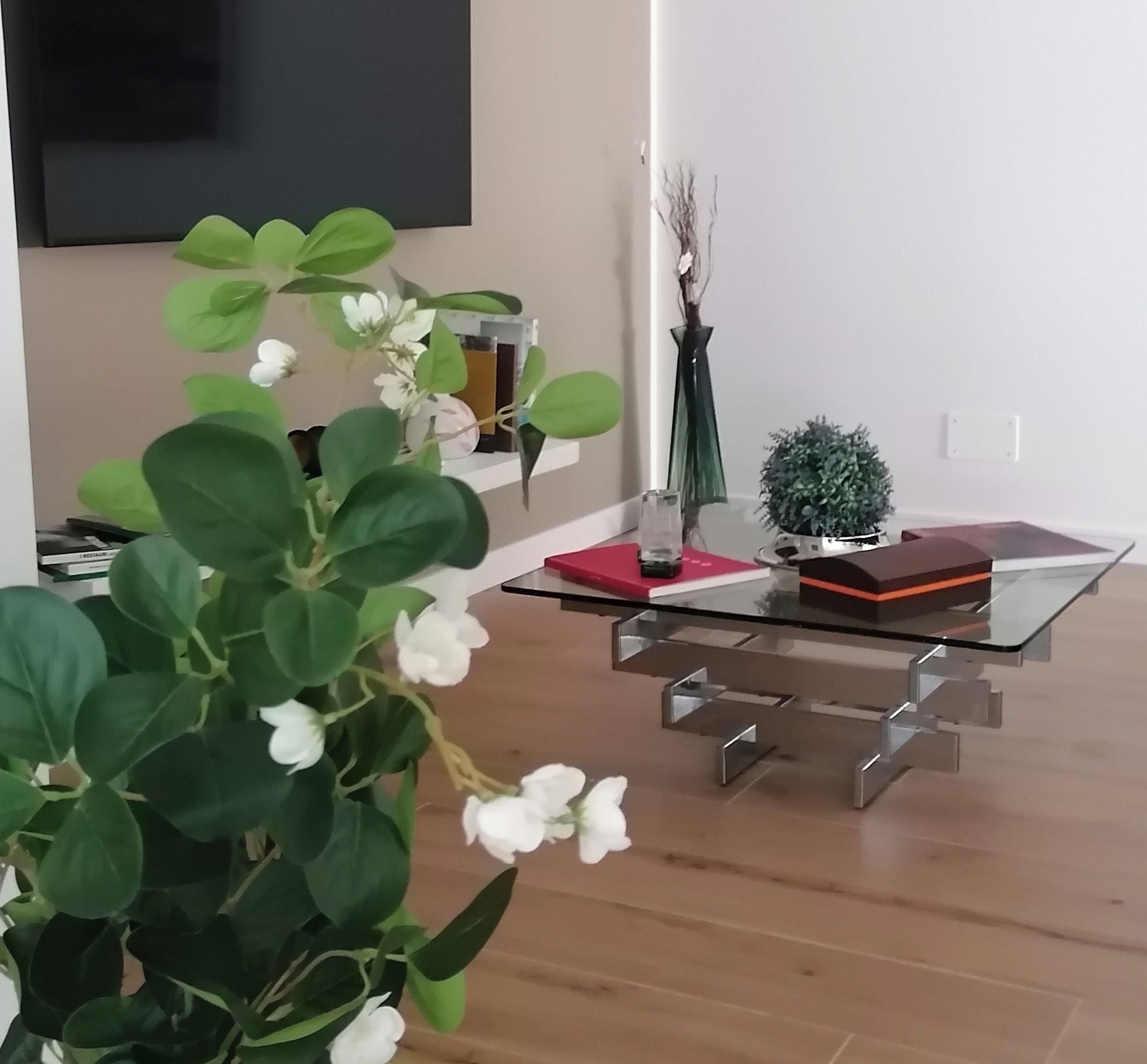 Una sala de estar moderna con una mesa de centro de vidrio, un televisor de pantalla plana montado en la pared y una planta en maceta al frente.