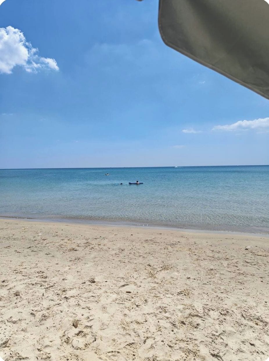 Ein Strand mit klarem Wasser und einem sandigen Ufer.