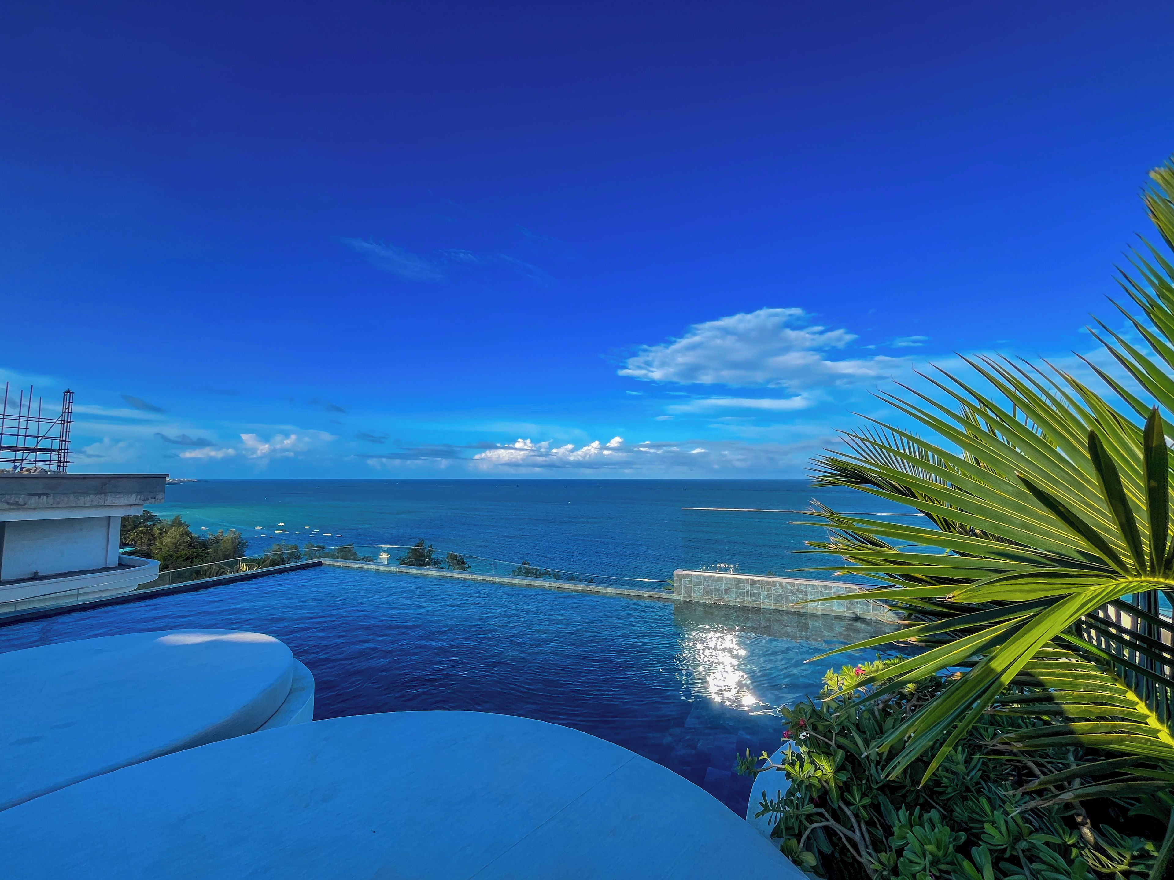 A clear view of a swimming pool with a view of the ocean and a palm tree in the foreground.