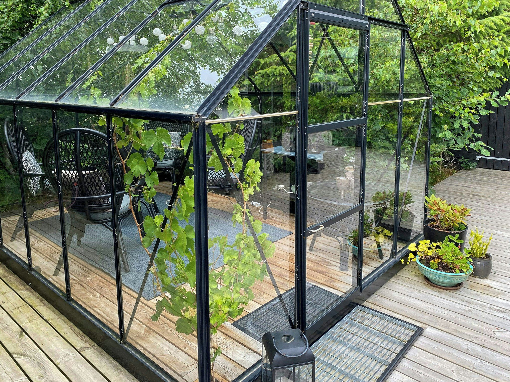 Une serre dotée d’une toiture et de murs en verre, d’un plancher en bois et de plantes en pot.