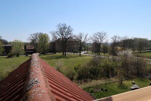 Une vue d’un toit d’immeuble, avec une zone herbeuse et des arbres en arrière-plan.