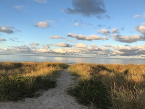 En sti af sand, der fører til vand med græsklædte bredder.