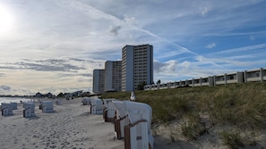 Ein Strand mit Liegestühlen und einem Möwen, ein sandiger Bereich und hohe Gebäude im Hintergrund.