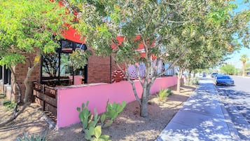 Un edificio con fachada rosa, una planta de cactus y un árbol de hojas verdes.