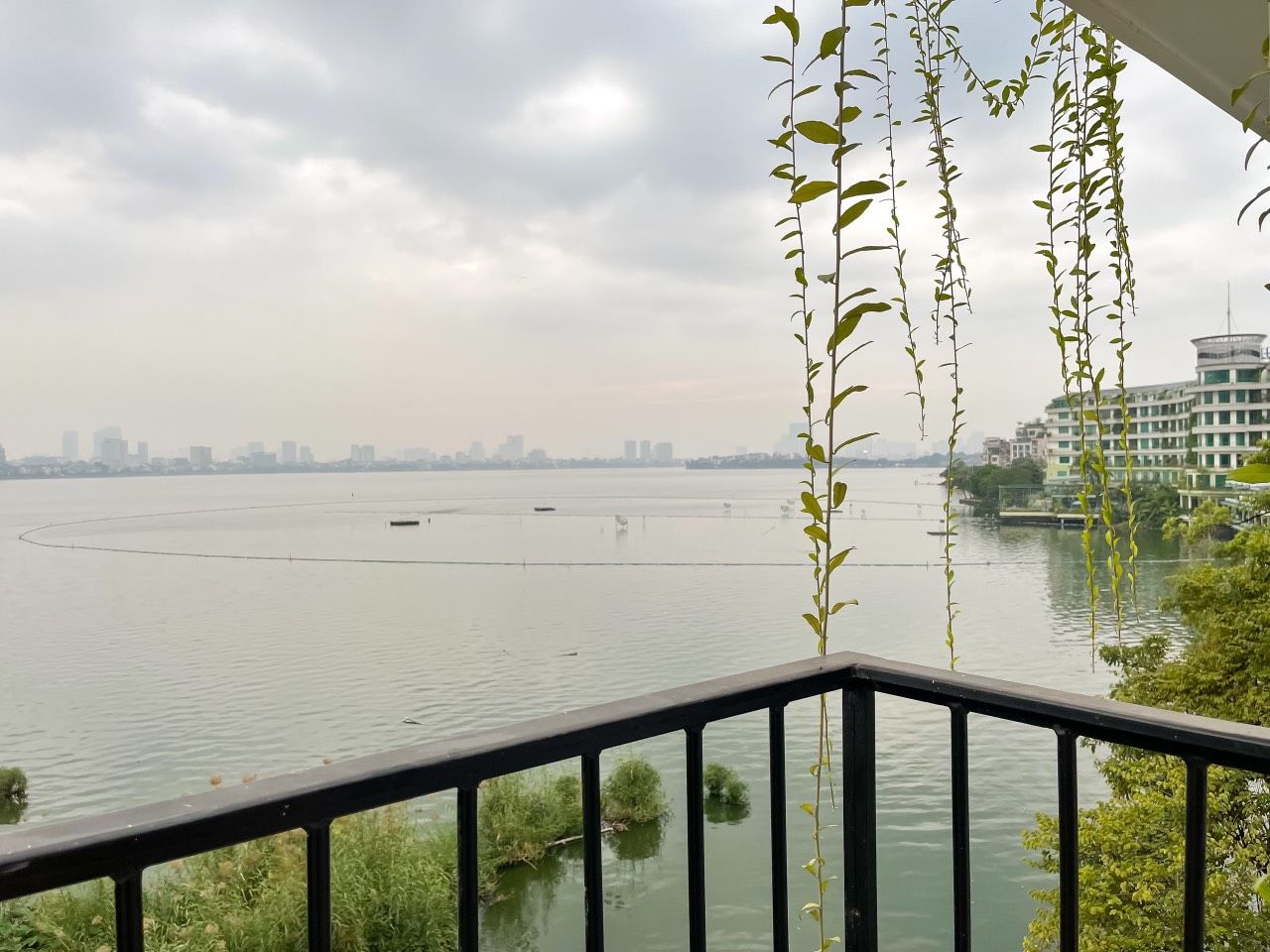 A view of a river with a city skyline in the background, a balcony railing, and hanging plants.