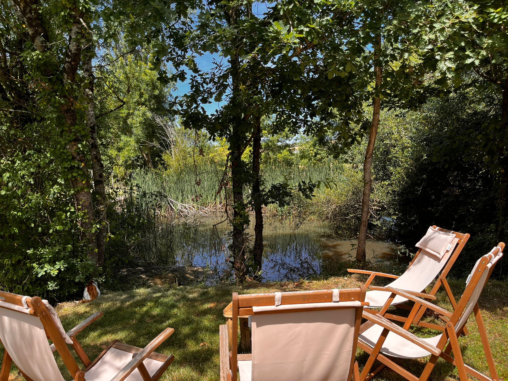 A serene outdoor setting with a pond, surrounded by lush greenery and trees. There are wooden chairs arranged for seating.