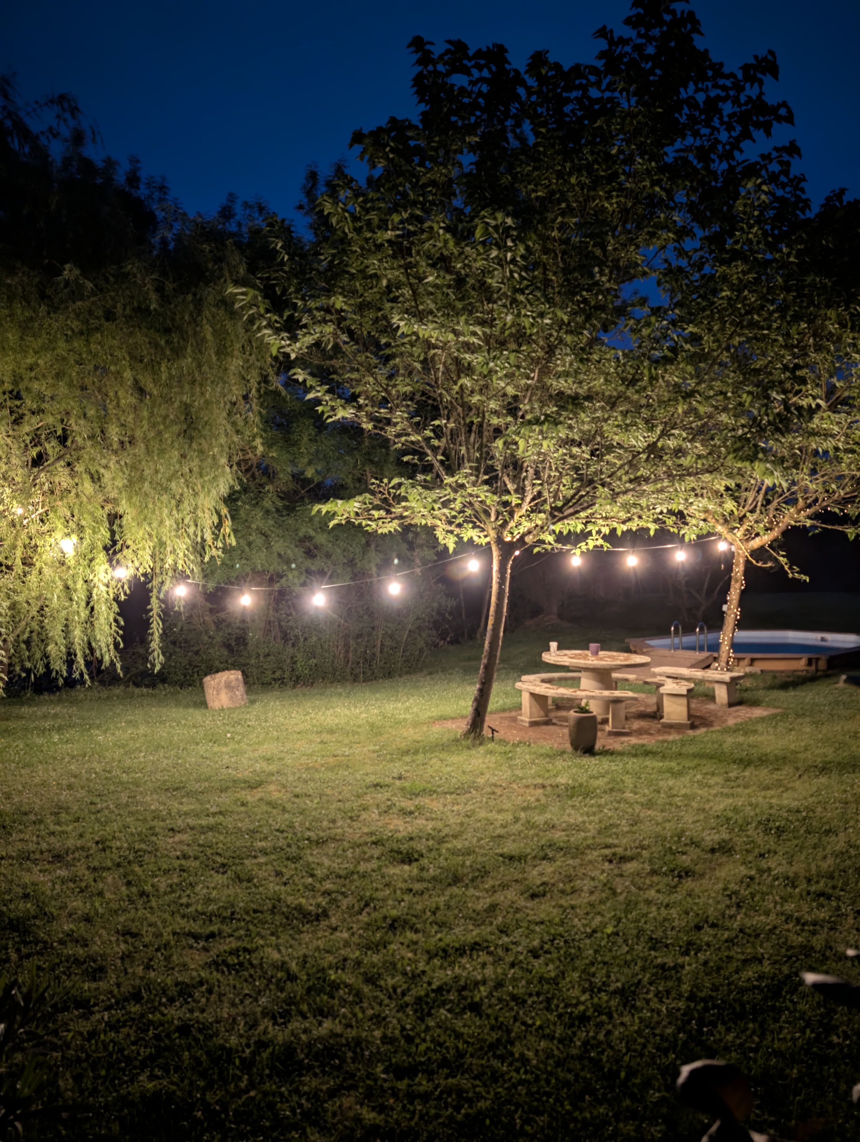 An outdoor area with a tree, string lights, and a picnic table.
